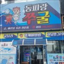 동피랑쭈굴
