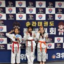 용인대 송라태권도장 이미지