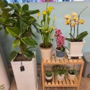 다온 죽 | 꼼지락시장 옆 해물죽 맛집💛 깔끔한 분위기 ‘다온죽’ 후기!