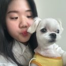 호계마을회관 | 자중해~ 지중해~