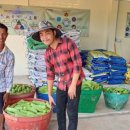 그린팜협동조합 이미지