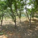 본당리마을회관 이미지