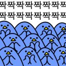 태극안경콘택트(비래점) 이미지