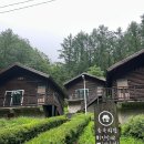 진달래 | [경북 울진] 통고산 자연휴양림 [숲속의집] 진달래 숙박 후기!