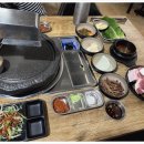 바다를 품은 돼지 이미지