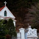 그린좌대2 낚시터 이미지