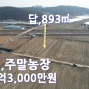 파주시 조리읍 주말농장 매1억3,000만원 이미지