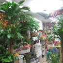 팔도화원 이미지