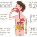 건강365 - 서구 상무대로 874 | 건강365