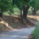 두량저수지 이미지