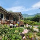 펜션쉼 | 충주 가볼만한곳 숙소, 독채펜션 여기쉼 후기