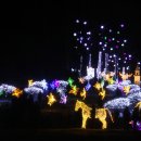 별빛정원B 이미지