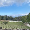 녹차밭약수터 이미지