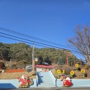 봉화역 | 경북 봉화 분천역 산타마을에서 미리 메리크리스마스 즐기기