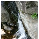 메이플 하우스 이미지