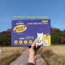 이철목장 | 바잇미 무항생제 펫밀크 체험단 당첨후기♥︎