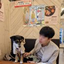 중문삼다통갈치 | 제주 중문 애견동반 맛집 중문삼다통갈치 후기(조림+구이 모두 만족)
