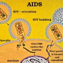 김해복음병원 이미지