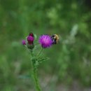 잠곡초등학교 이미지