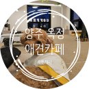 펫케아(PETKEA) | 양주 옥정애견카페 펫케아, 놀기 좋은 실내 애견카페