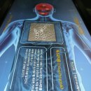 기생충박물관 이미지