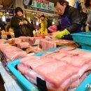 전통돔베기 이미지