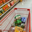 대바우가든 민박 이미지