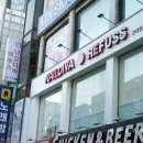 레푸스네일디바