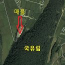 이원선사무소 Daum카페