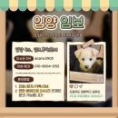 도담도담캔넬 네이버블로그