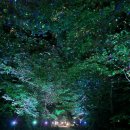 상림약수터 이미지