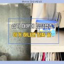 뽀송뽀송 | 진짜 뽀송함이 달라요! 5년째 재구매 중인 다이소 뽀송뽀송 제습제 후기