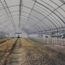 치악산농장 이미지