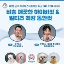 피카소 동물병원 이미지