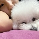 보미네옥상 이미지