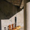 경주숲속생명의원 | 포천 가볼만한곳, 국립수목원 당일 예약 후기(광릉숲, 일요일)