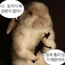 명가원설농탕 | [구월동 | 명가원설농탕] 길병원 앞 터줏대감 추억의 맛 (갈비탕 설렁탕 후기)