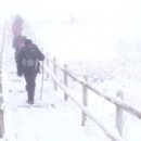 겨울나그네 이미지