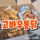 고바우통닭 거제면점 | 거제 고바우통닭 배달 내돈내산 후기