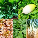 다래농원 이미지