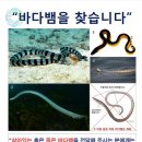 선상슈퍼 이미지