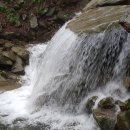 서울숲역1번출구 이미지