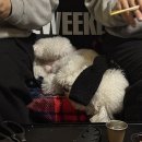 스테이 잔다 네이버블로그