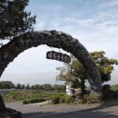 제주공룡랜드전시관 이미지