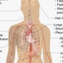 느티나무한의원 이미지