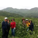 자연 농원 이미지