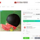 광일축산 이미지