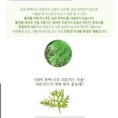 하이댕 이미지