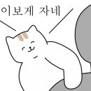 마이약국 이미지