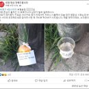 맘스터치부평본점 이미지